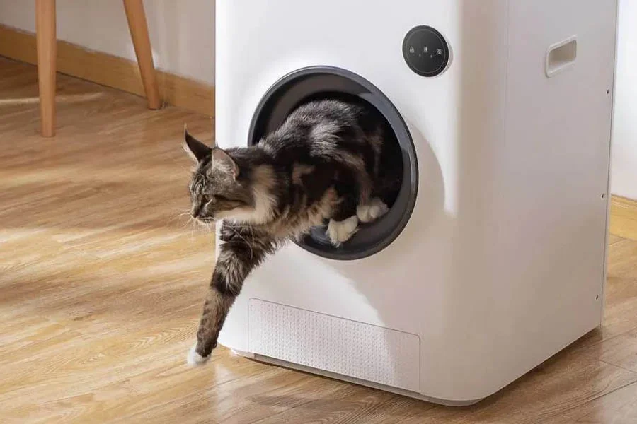 best multi cat litter box