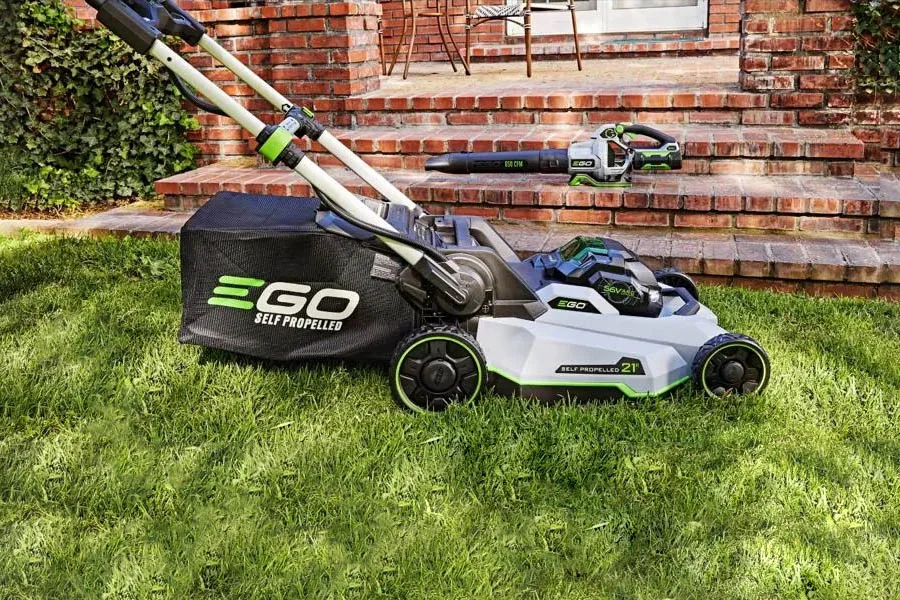 small lawnmower