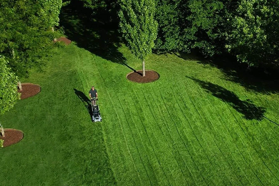 top rated electric mowers